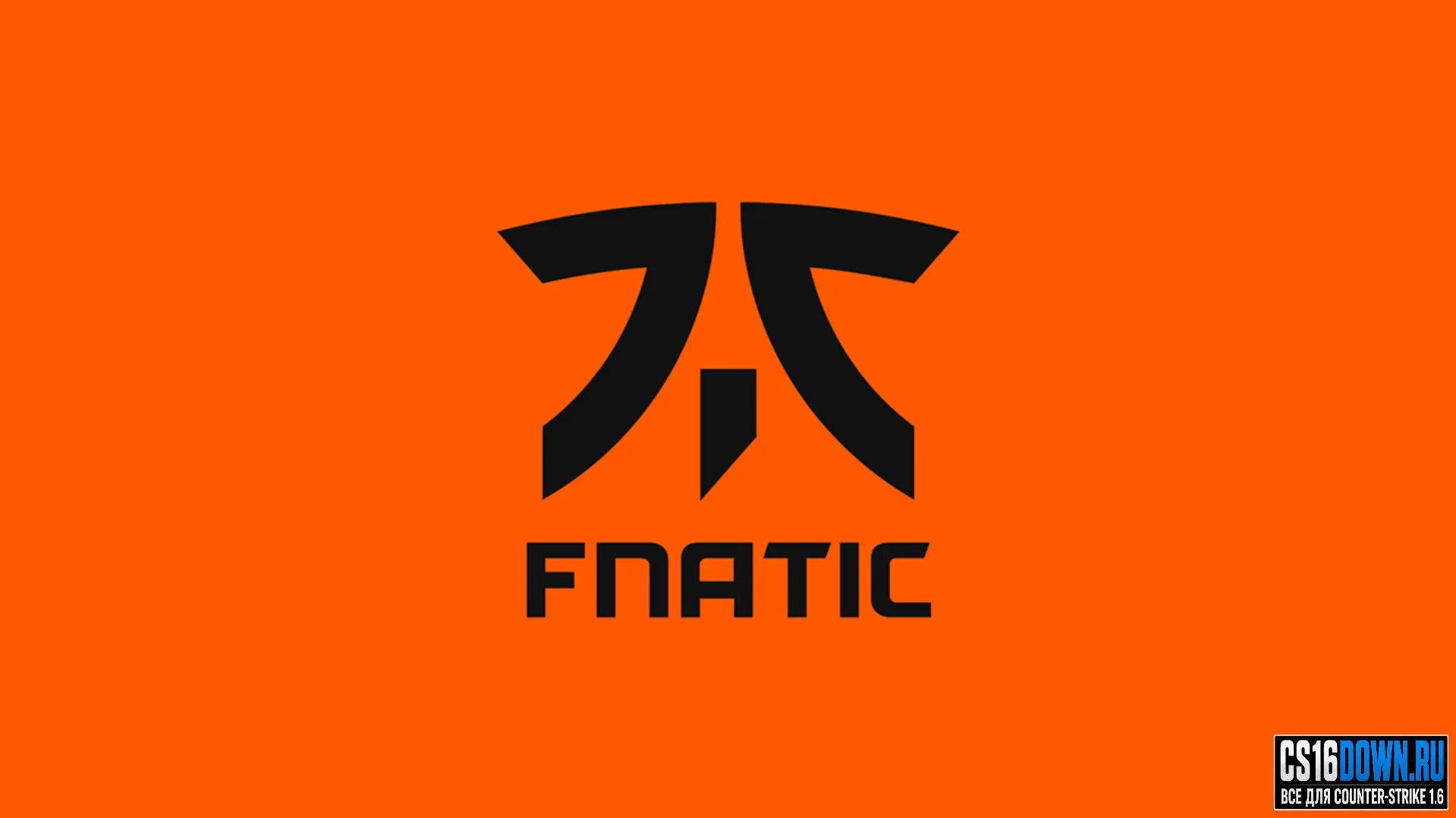 CS 1.6 Fnatic #1